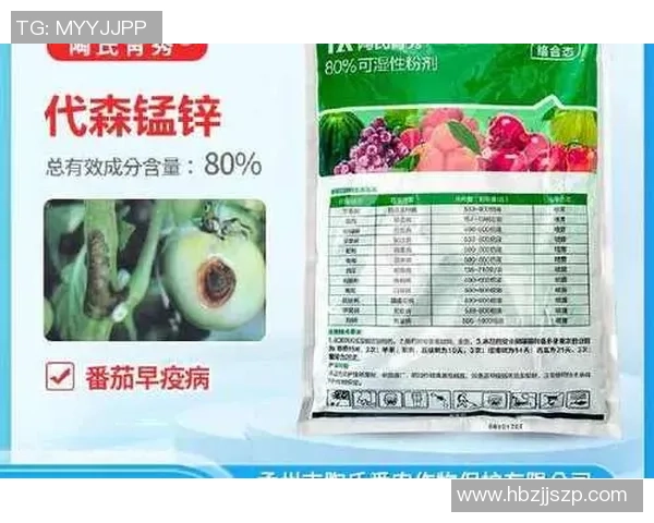 陶姓足球员的代表性球星是谁？探寻中国足球中的陶姓人物与成就